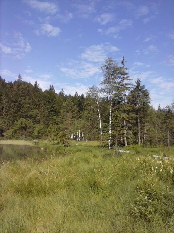 Appartment Andrea Inzell Chambre photo